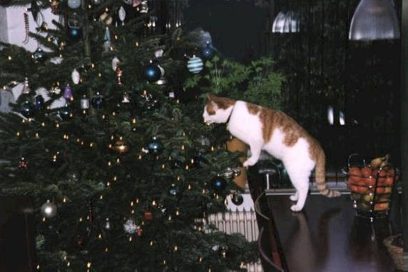 Fijn kerstfeest......................