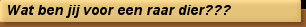 Wat ben jij voor een raar dier???