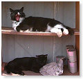 Soort van stapelbed...............................