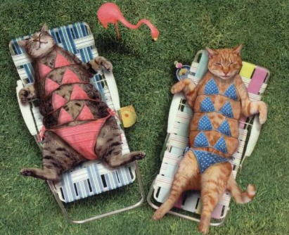 Heerlijk die voorjaars-zon......................