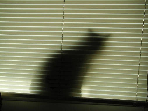 Me and my shadow.......................