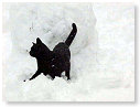 Heerlijk die sneeuw.......................