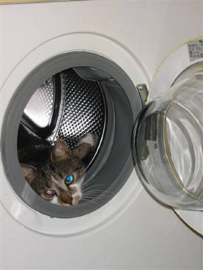 En we gaan draaien........................geef het rad een slinger................