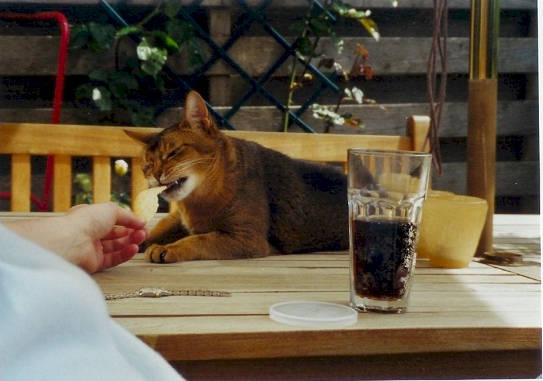Honger!!!