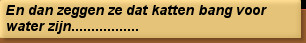 En dan zeggen ze dat katten bang voor water zijn.................