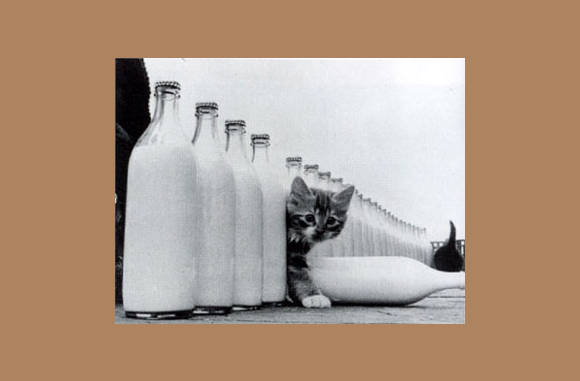 Milk Bowling...