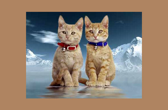 Broer & Zus...