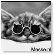Cool Cat...