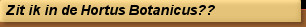 Zit ik in de Hortus Botanicus??
