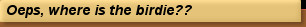 Oeps, where is the birdie??