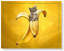 Trap niet in de bananenschil......