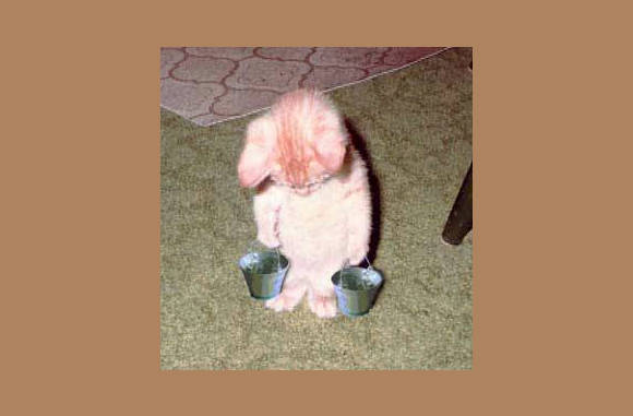 2 emmertjes water halen....