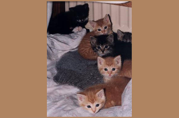 Het bed is van ons!!