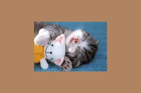 Knuffelfactor 100...