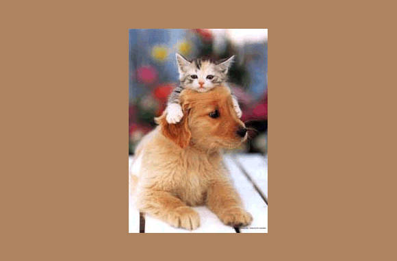 Lekker zacht ben jij!!