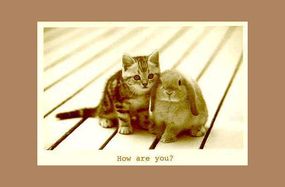 Tis bij de konijnen af.....