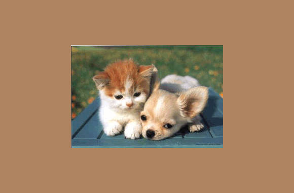 Wij zijn net zo groot....