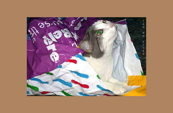 Gek op plastic tassen...