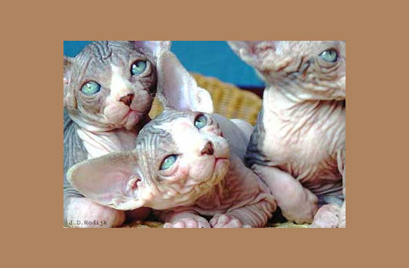 Wie is er nou lelijk!!