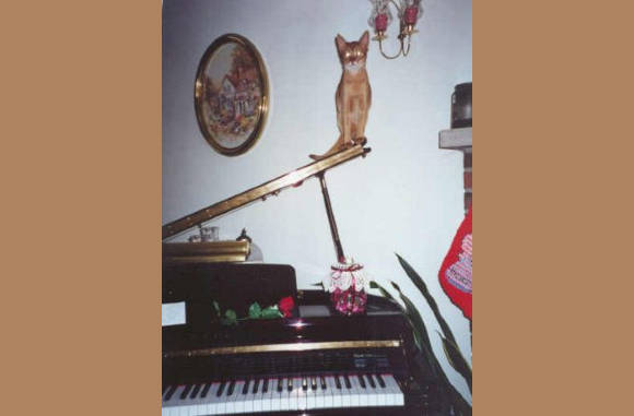 En nou maar hopen dat die stok het houdt...