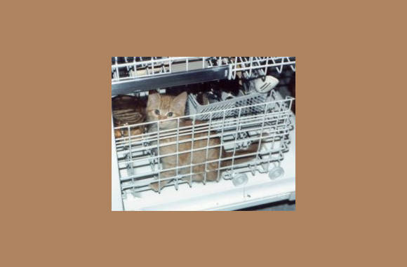 Ik wil ook gewassen worden!!