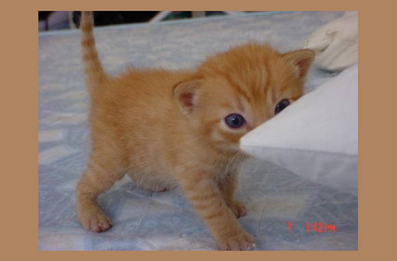 Kijk ik kan al lopen....