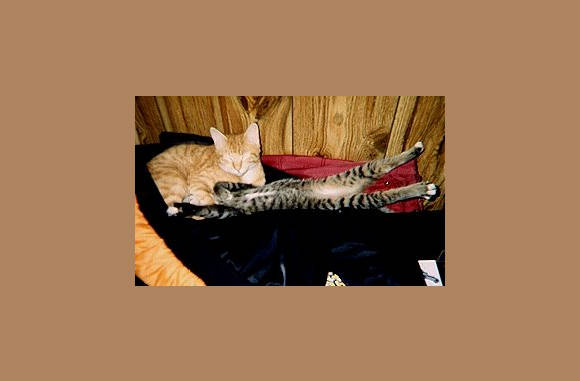 FF de rek en strek oefeningen....