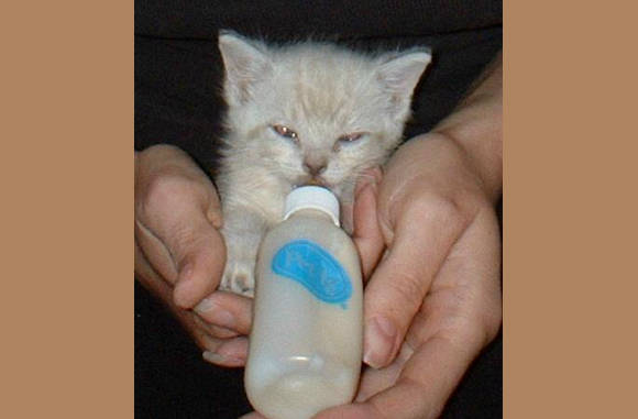 Lekker aan de fles....