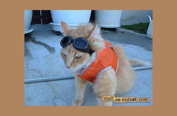 Bij het joggen altijd handig een lichtgevend vestje...