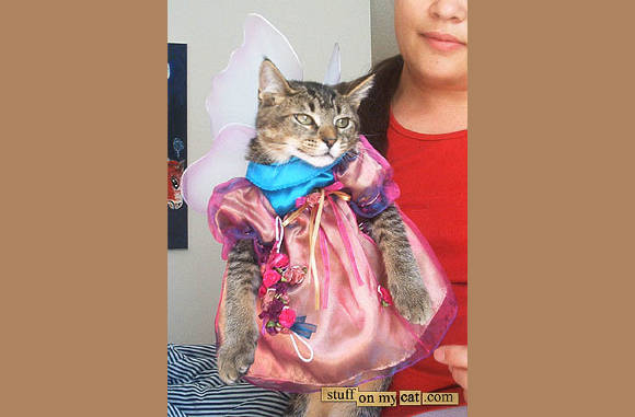 Prinsessen outfit...