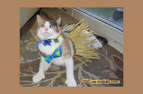 Voor als u op vakantie gaat naar Hawai...