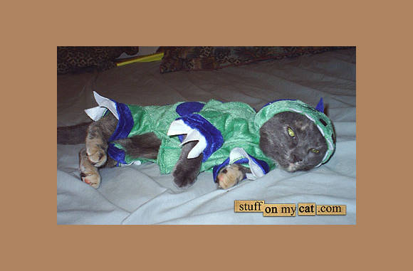 Dit pakje doet het overal leuk...