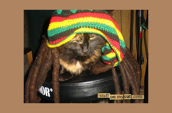 Rasta man!!!