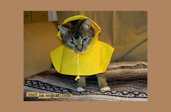 Wanneer er kleine buitjes voorspelt zijn...