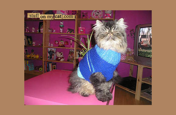 Heerlijke warme trui...