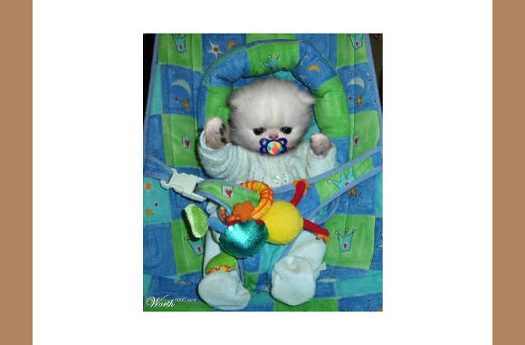 Leuk baby outfitje voor in de auto....