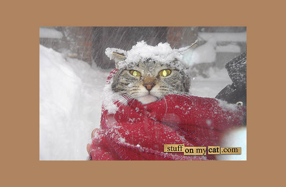 Beschermende sjaal bij erge kou...