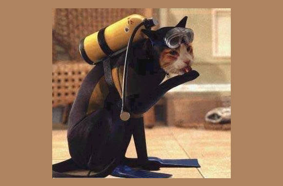 Modieuze duikuitrusting...