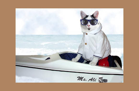 Wie wil er zo geen kapitein zijn...