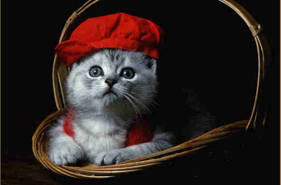 Een ondeugend ensemble...