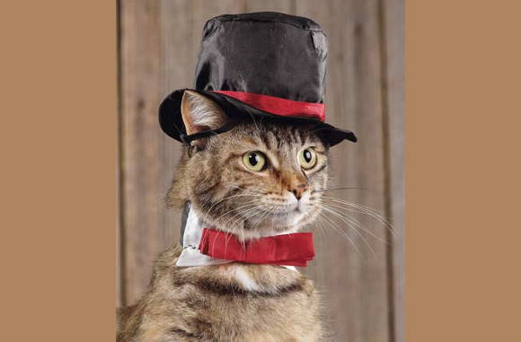 Hoge hoeden zijn ook helemaal weer in...