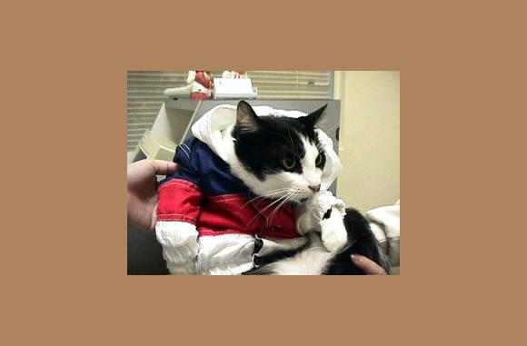 Leuk trainningspak...