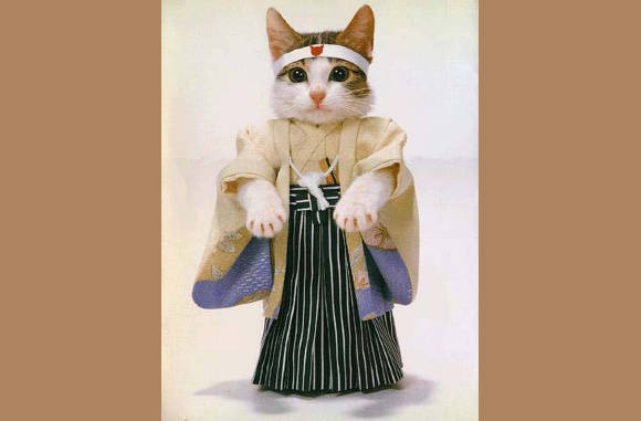 Samurai outfit, voor de gevorderde...