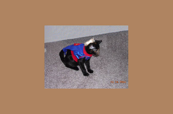 Wondercat, leuk voor verkleedpartijtjes...