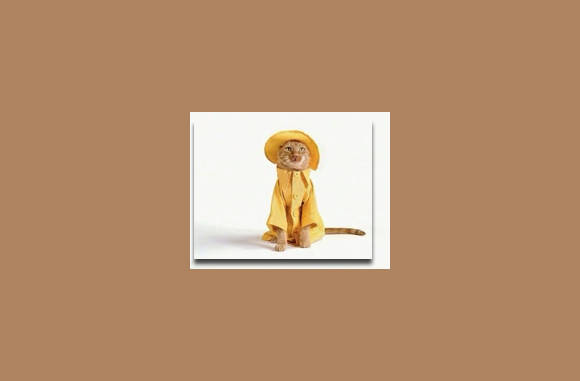 Gezellig regenkleding...